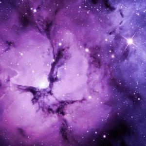 Meet your Posher, Tabitha